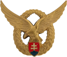 Badge Pilot 1st class 