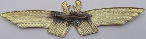 Нагрудный знак Пилот 