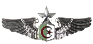 Нагрудный знак Старший пилот 