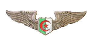 Badge Pilot 