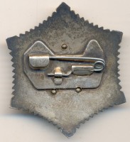Нагрудный знак Орден Полярная звезда 