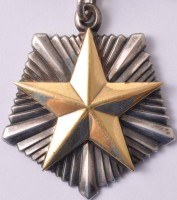 Нагрудный знак Мать-героиня 