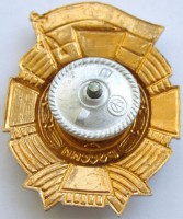 Нагрудный знак Казак России 