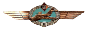 Нагрудный знак Пилот 2 класса 