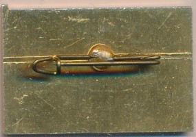 Нагрудный знак Кораблестроитель Чиликин  