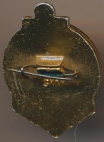 Нагрудный знак Чемпион Бассейновый совет  
