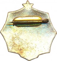 Нагрудный знак Чемпион конькобежный спорт 