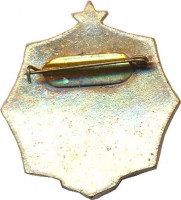 Нагрудный знак Чемпион  прыжки с шестом 