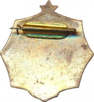 Badge  