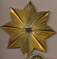 Нагрудный знак Экспертиза судебных медиков  