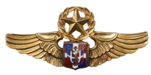 Нагрудный знак Пилот мастер 