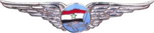 Badge Pilot 