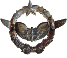 Нагрудный знак Авиатехик 