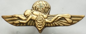 Badge  