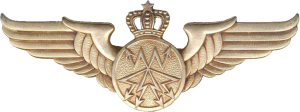 Нагрудный знак Радист 