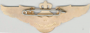 Badge Radioman 