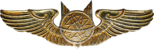 Нагрудный знак Штурман 