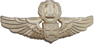 Badge Pilot Badge Pilot