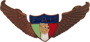 Нагрудный знак Пилот 