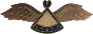 Нагрудный знак Пилот 