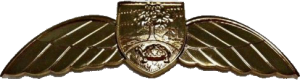 Badge Pilot 