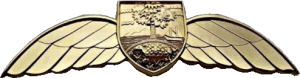Badge Pilot 