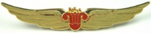 Нагрудный знак Южные авиалинии 