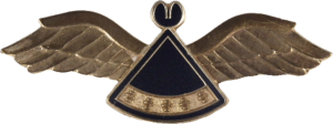 Badge Pilot 