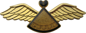 Badge Pilot 