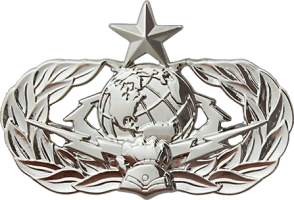 Badge Senior Cyberspace support specialist 