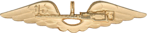 Badge Air gunner Badge Air gunner