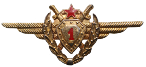 Badge Pilot 