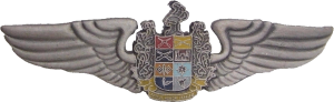 Badge Pilot 