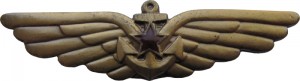 Badge Aircarrier crew member, bronze 