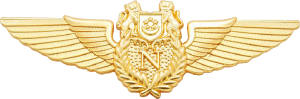 Нагрудный знак Штурман 