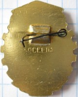 Нагрудный знак Ковровский экскаваторный завод 100 лет 1861-1961 