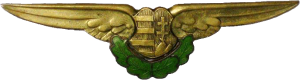 Badge Pilot 
