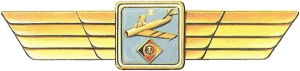 Нагрудный знак Пилот 1 класса 