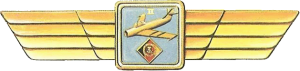 Нагрудный знак Пилот 2 класса 