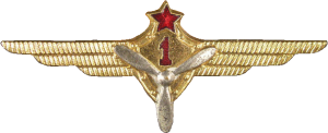 Нагрудный знак Авиатехник 1 класса 