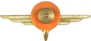 Badge Technician 1st class 