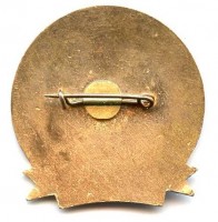 Badge  