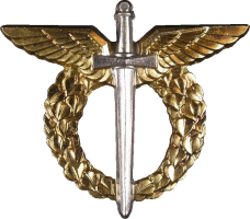 Нагрудный знак Пилот мастер 