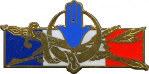 Нагрудный знак Французский контингент в Северной Африке 