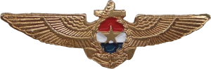 Нагрудный знак Пилот 