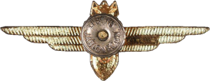 Нагрудный знак Штурман 3 класса 