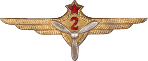 Badge Technician 2nd class 