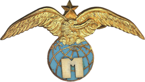 Badge Flight Engineer 