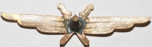 Badge Pilot without class 