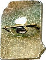 Нагрудный знак 1 юношеский разряд, борьба 